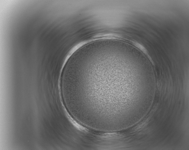 X0000058121482200509301914