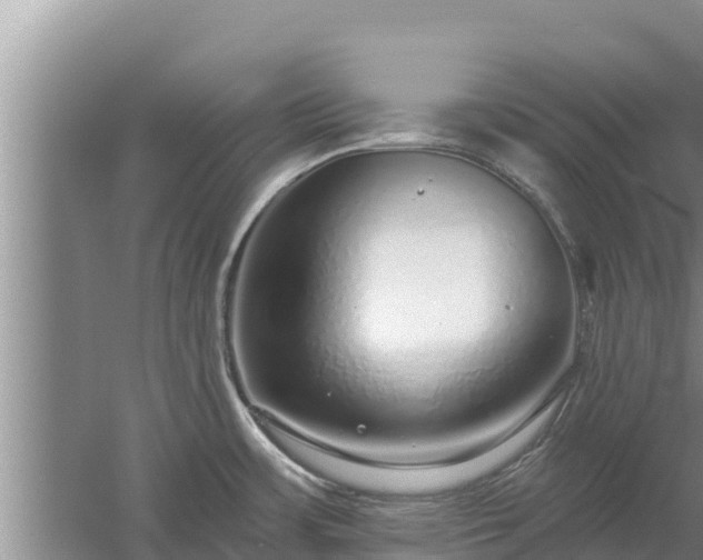 X0000058121483200509301914