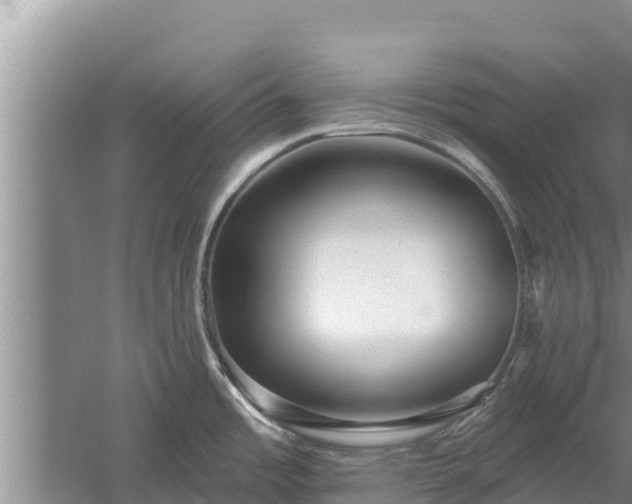 X0000058121485200509301914