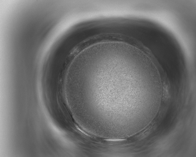 X0000058121487200509301913