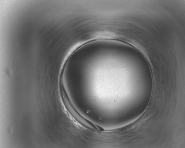 X0000058121488200509301913