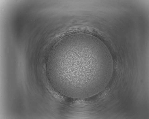 X0000058121489200509301913