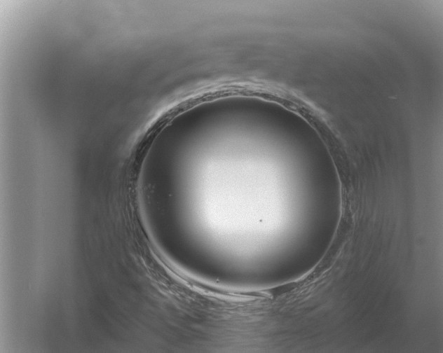 X0000058121496200509301913