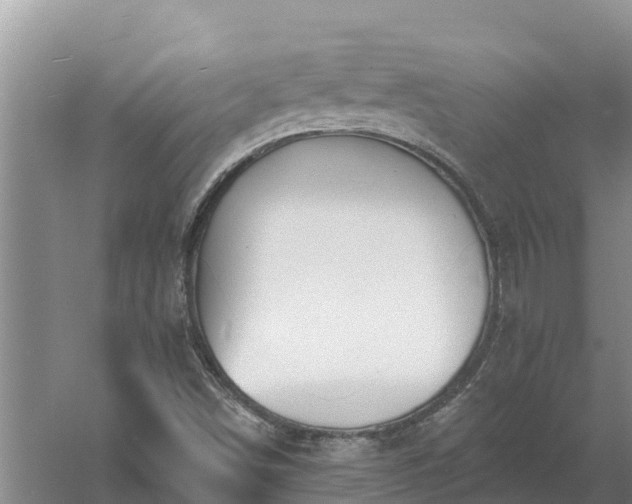 X0000058121498200509301913