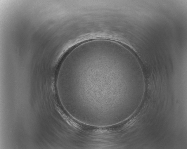 X0000058121499200509301913