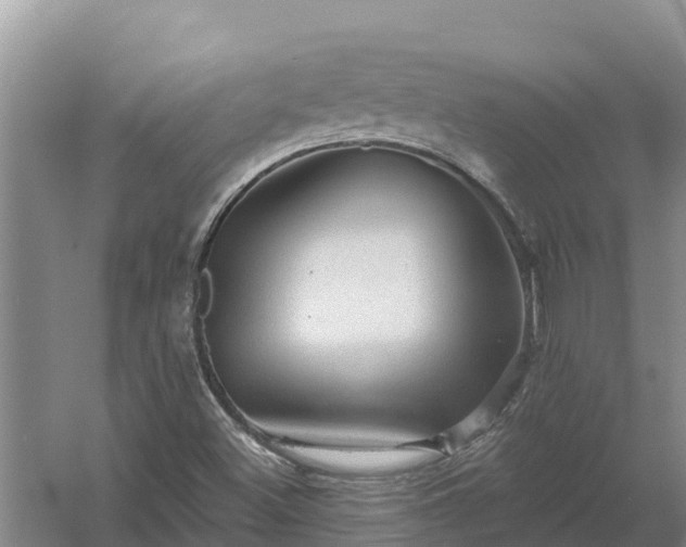 X0000058121500200509301913