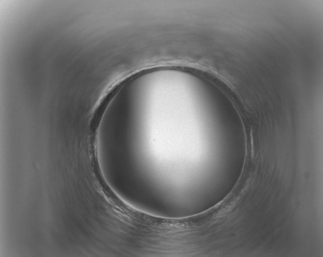 X0000058121501200509301913