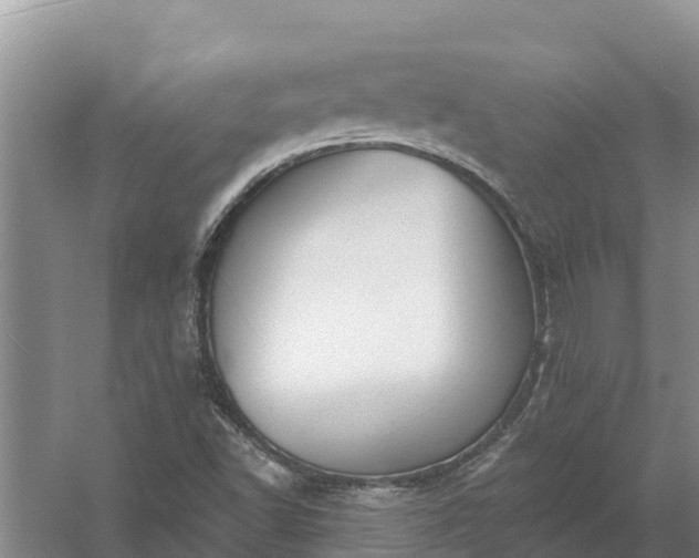 X0000058121502200509301913