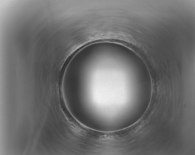 X0000058121505200509301913