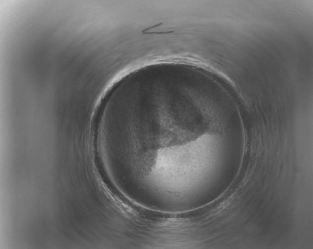 X0000058121506200509301913