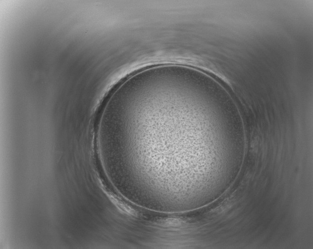 X0000058121507200509301913