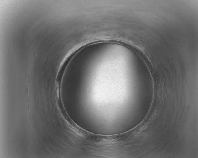 X0000058121509200509301913