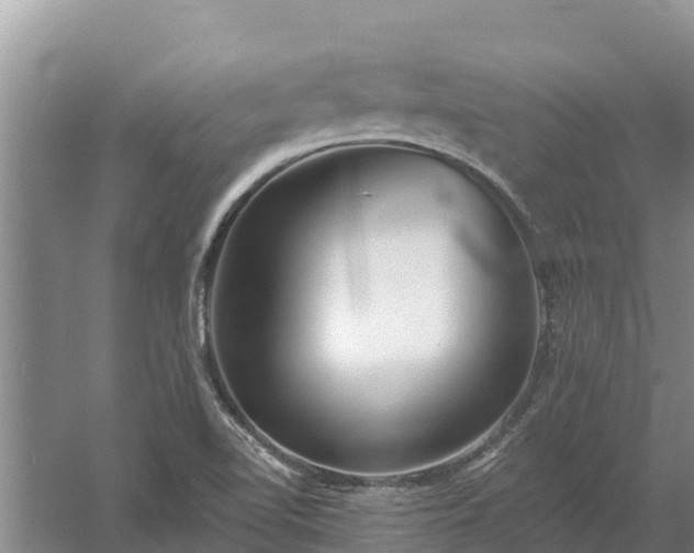 X0000058121510200509301913