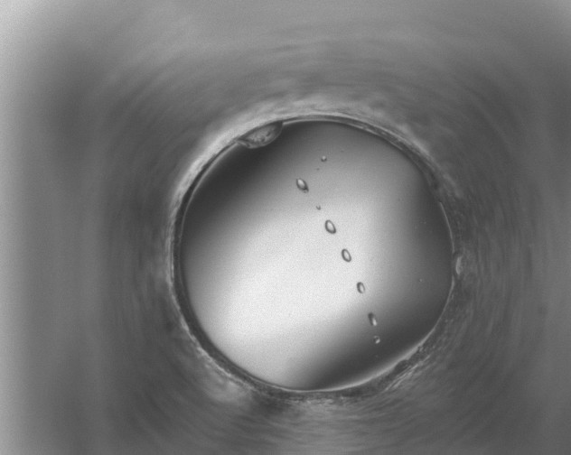 X0000058121512200509301913