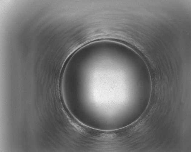 X0000058121513200509301913