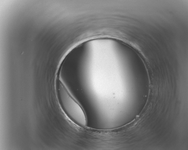 X0000058121516200509301913