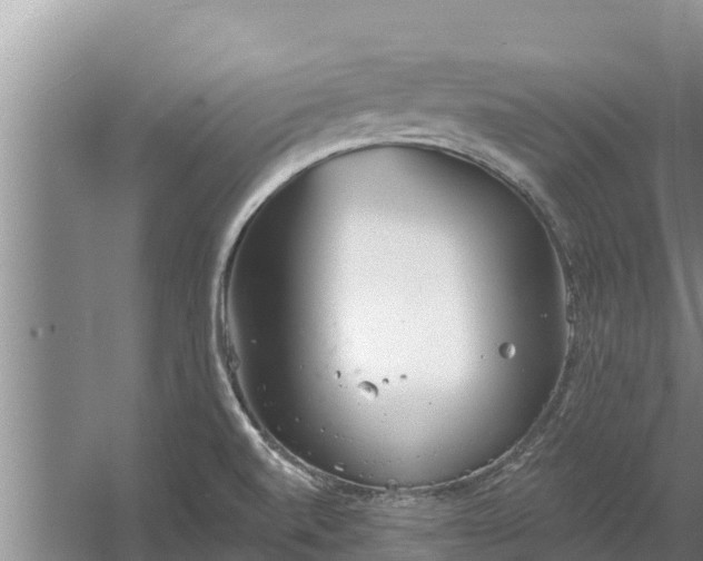 X0000058121520200509301913