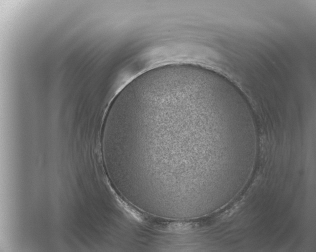 X0000058121521200509301913