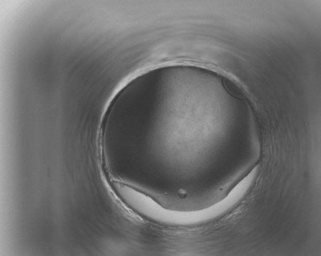 X0000058121522200509301913