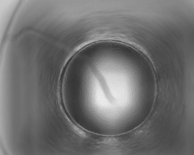 X0000058121525200509301913