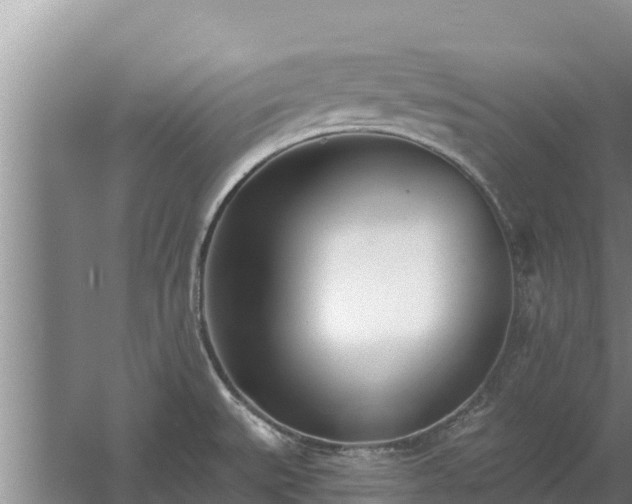 X0000058121527200509301913