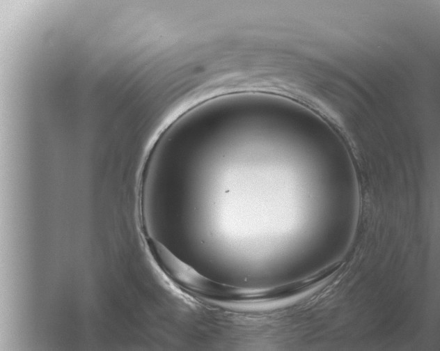 X0000058121528200509301913