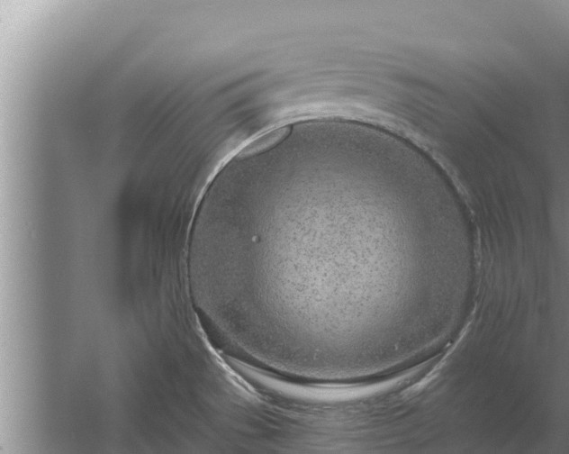 X0000058121529200509301913