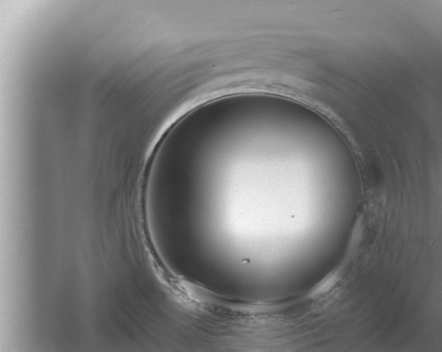 X0000058121530200509301913