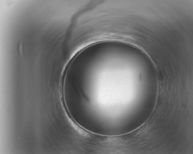 X0000058121531200509301913