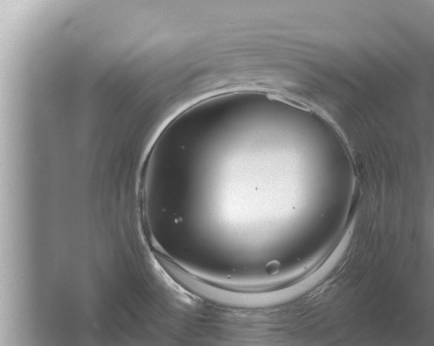 X0000058121532200509301913