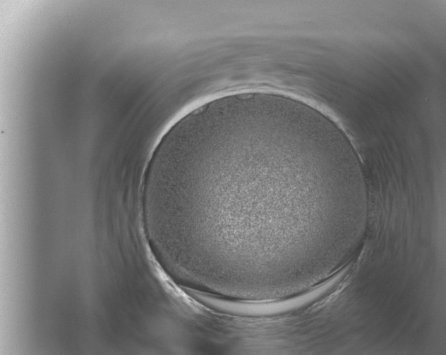 X0000058121534200509301913