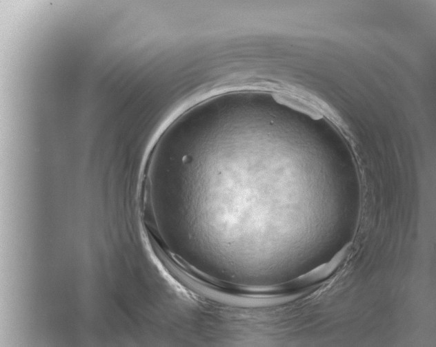 X0000058121536200509301913