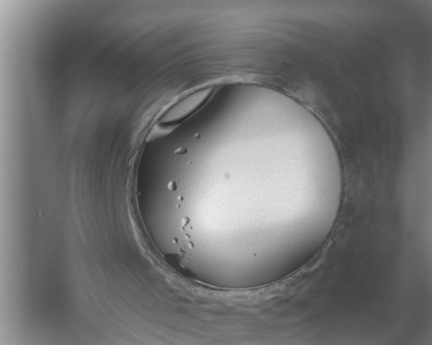 X0000058120001200510071951