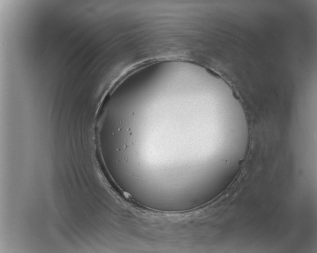 X0000058120002200510071951