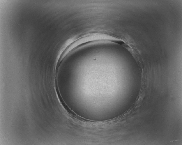 X0000058120003200510071951