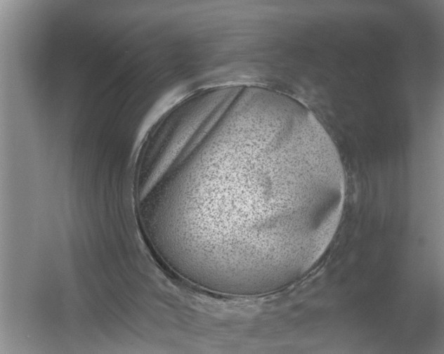 X0000058120004200510071951