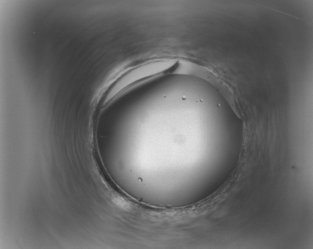 X0000058120005200510071951