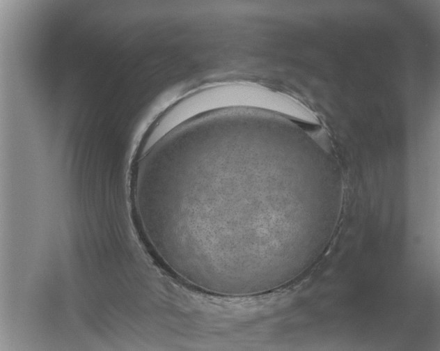 X0000058120006200510071951