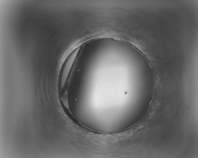 X0000058120007200510071951