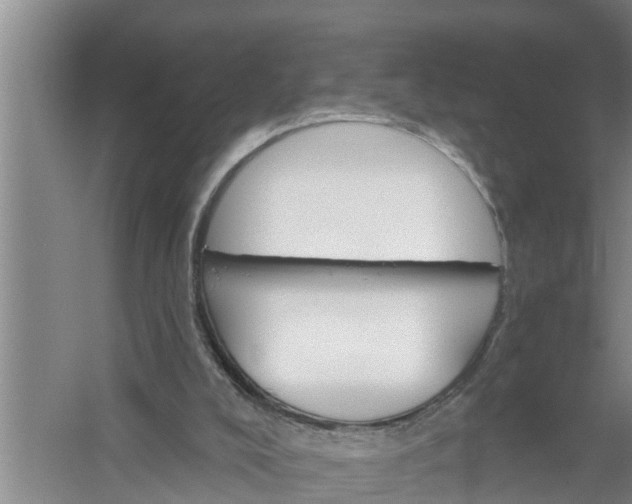 X0000058120008200510071951