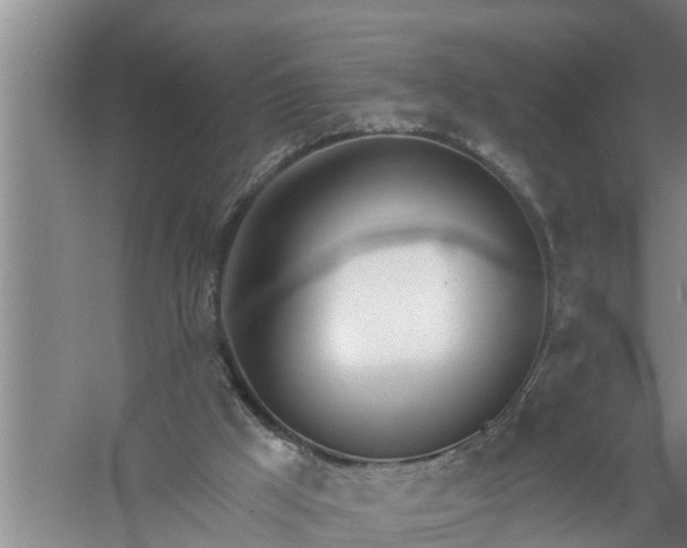 X0000058120009200510071951