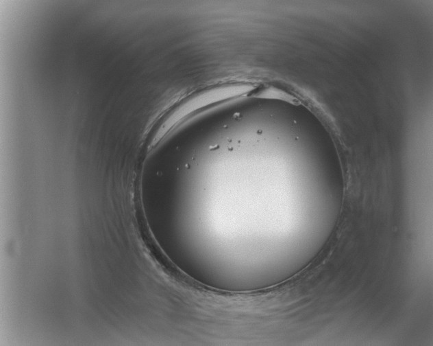 X0000058120010200510071951