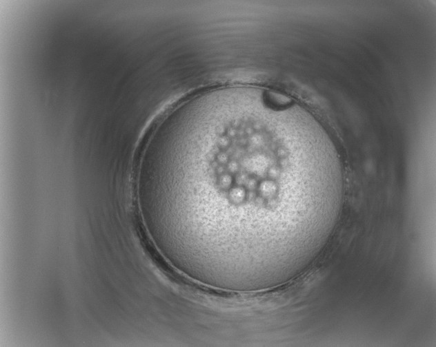 X0000058120012200510071951