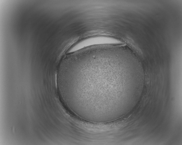 X0000058120014200510071951