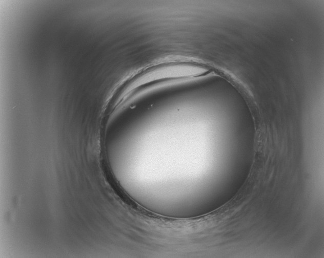 X0000058120015200510071951