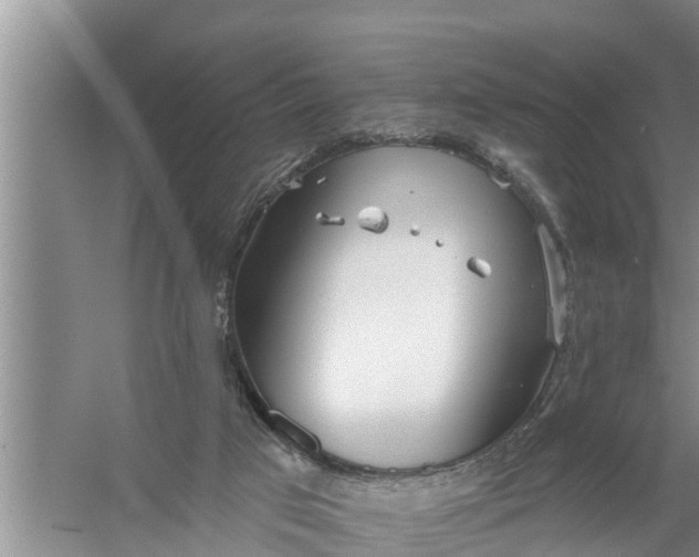 X0000058120017200510071951