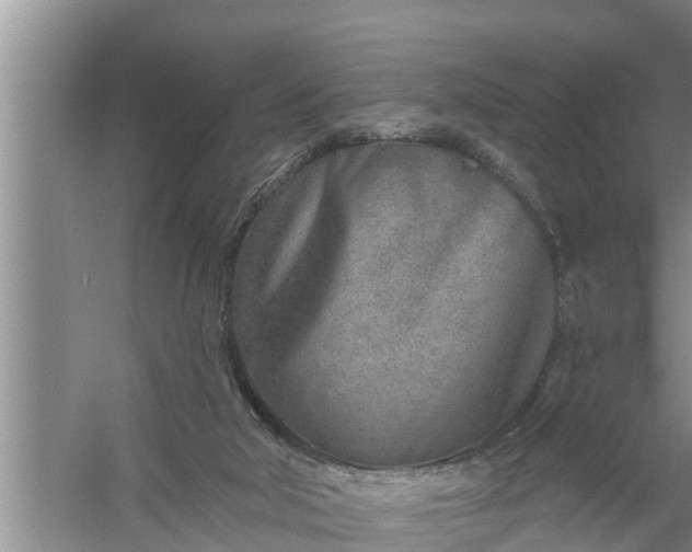 X0000058120018200510071951