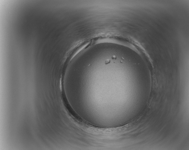 X0000058120019200510071951