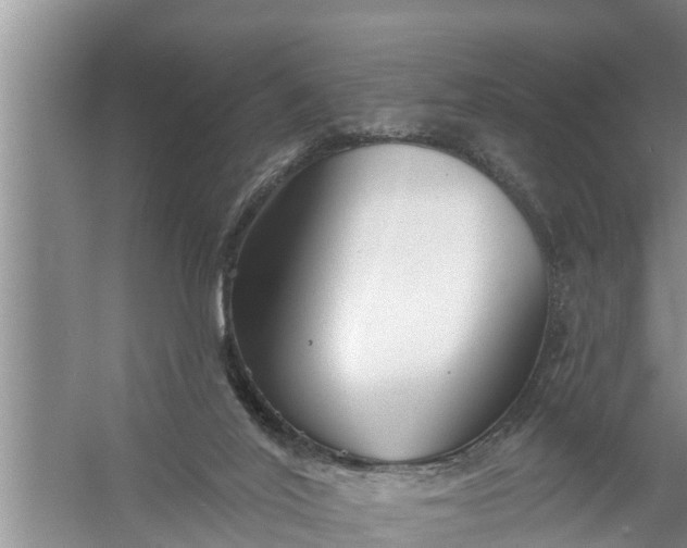 X0000058120020200510071951