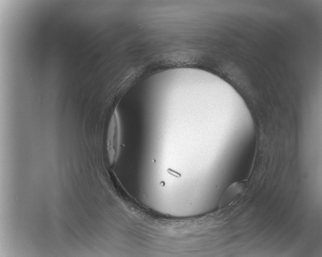 X0000058120021200510071951